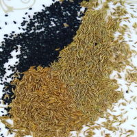 Shahi Jeera vs Caraway Seeds vs Nigella Seeds
