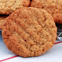 Sugar free oats biscuits